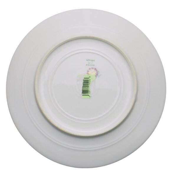 Antique Limoges UC France Plate - Picture 2 of 9